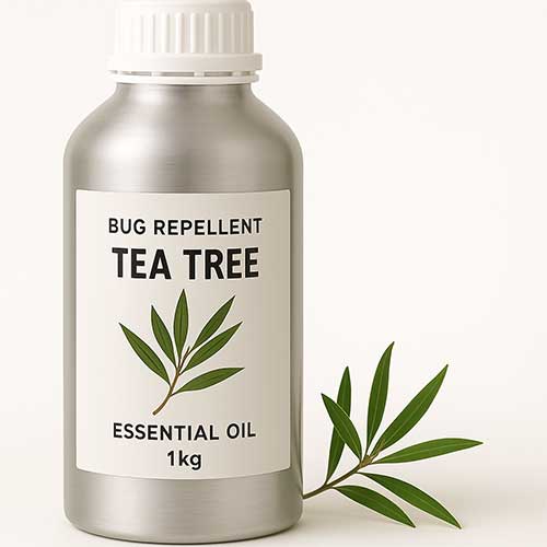 Tea tree oil for bug repellent