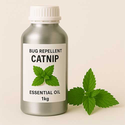 Catnip Oil Insect Repellent