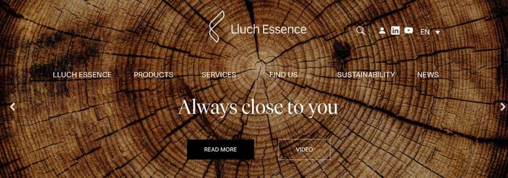 Lluch-Essence