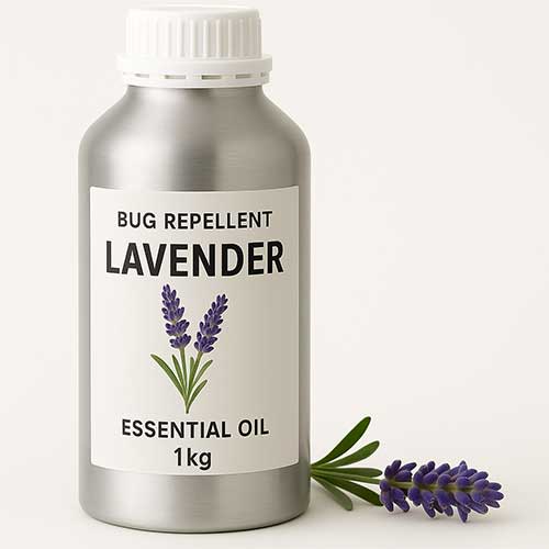 lavender oil for bug repellent