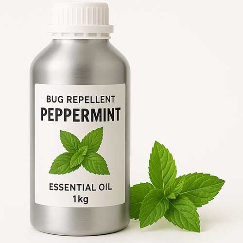 peppermint oil for bug repellent