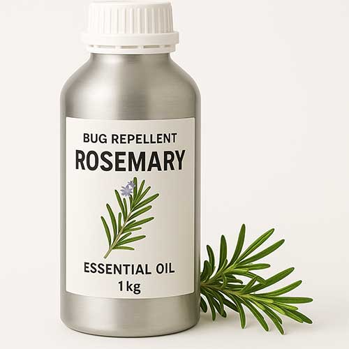 rosemary oil for insect repellent
