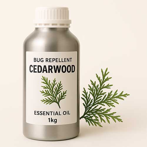 cedarwood oil for insect repellent