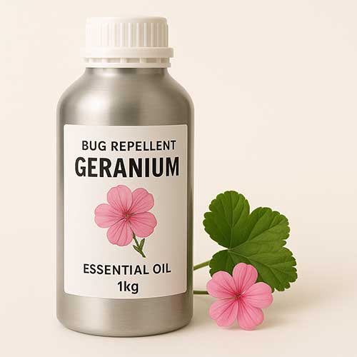 geranium oil for insect repellent