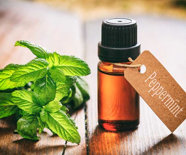 Peppermint-oils-3